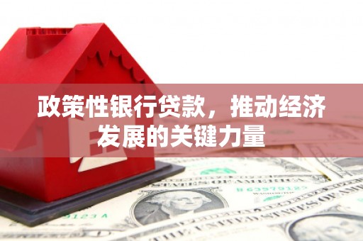 漳县政策性银行贷款，推动经济发展的关键力量