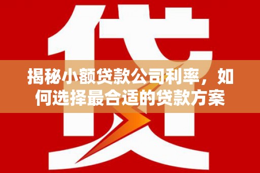 漳县揭秘小额贷款公司利率，如何选择最合适的贷款方案