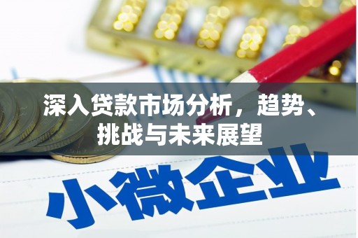 漳县深入贷款市场分析，趋势、挑战与未来展望