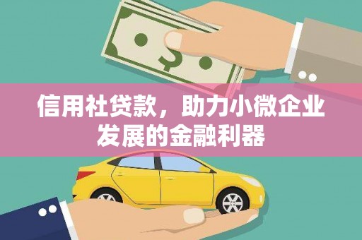 漳县信用社贷款，助力小微企业发展的金融利器