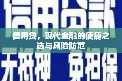 漳县信用贷，现代金融的便捷之选与风险防范