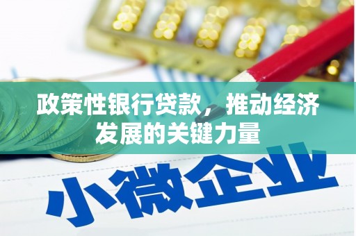 漳县政策性银行贷款，推动经济发展的关键力量