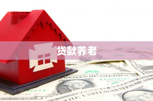 漳县贷款养老