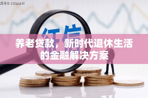 漳县养老贷款，新时代退休生活的金融解决方案