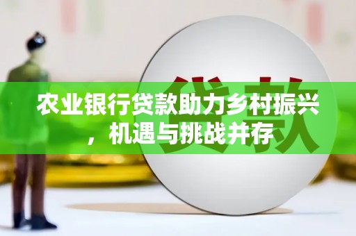漳县农业银行贷款助力乡村振兴，机遇与挑战并存