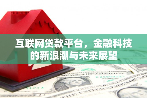 漳县互联网贷款平台，金融科技的新浪潮与未来展望