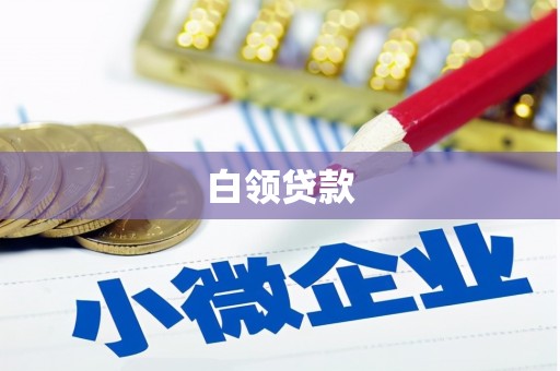 漳县白领贷款