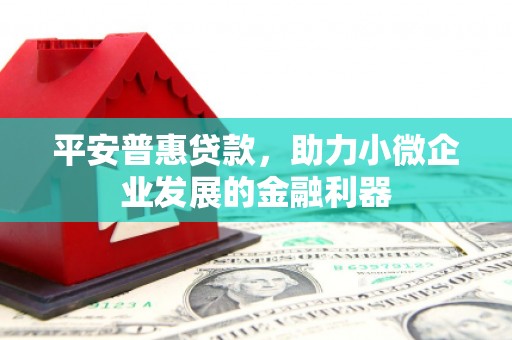 漳县平安普惠贷款，助力小微企业发展的金融利器