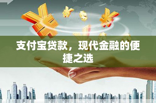漳县支付宝贷款，现代金融的便捷之选