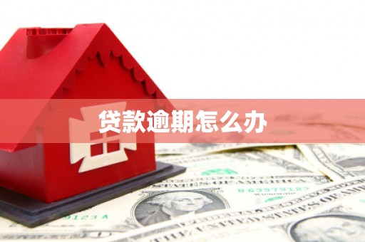 漳县贷款逾期怎么办