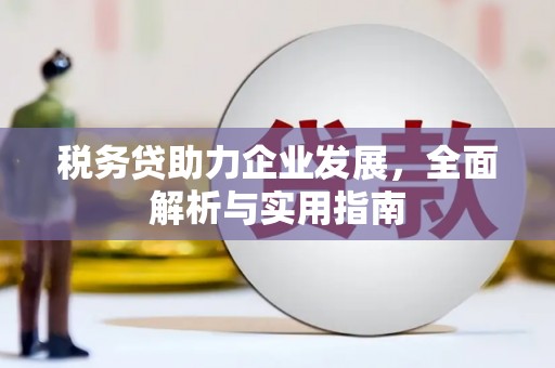 漳县税务贷助力企业发展，全面解析与实用指南