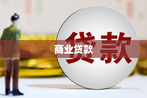 漳县商业贷款