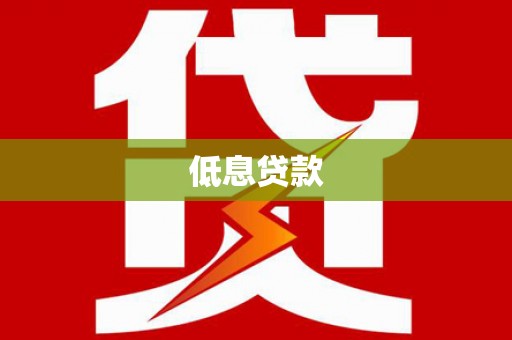 漳县低息贷款