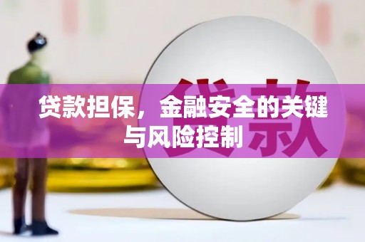 漳县贷款担保，金融安全的关键与风险控制