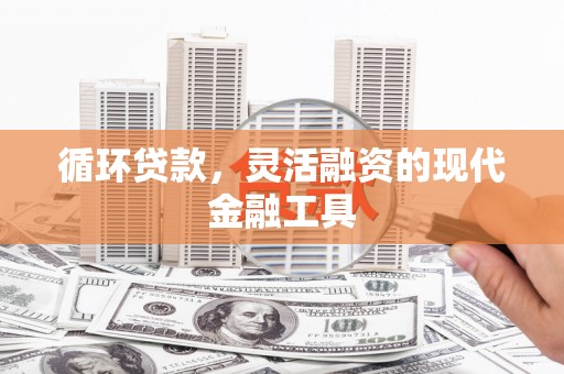 漳县循环贷款，灵活融资的现代金融工具
