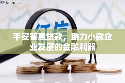漳县平安普惠贷款，助力小微企业发展的金融利器