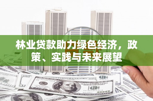 漳县林业贷款助力绿色经济，政策、实践与未来展望