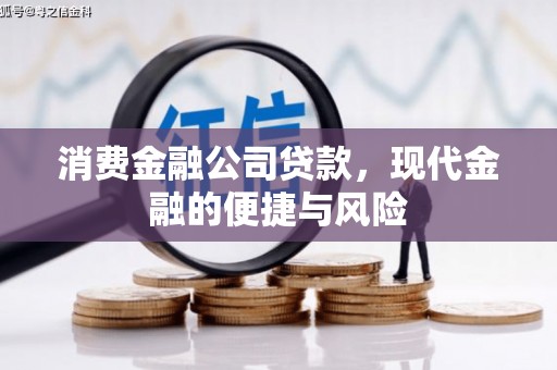 漳县消费金融公司贷款，现代金融的便捷与风险