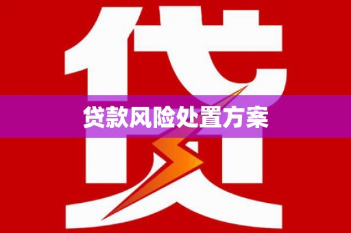 漳县贷款风险处置方案