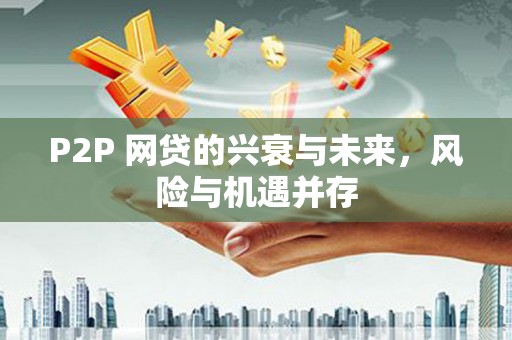 漳县P2P 网贷的兴衰与未来，风险与机遇并存