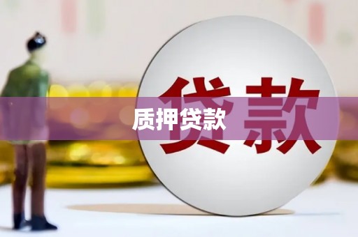 漳县质押贷款