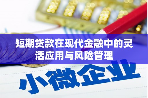 漳县短期贷款在现代金融中的灵活应用与风险管理