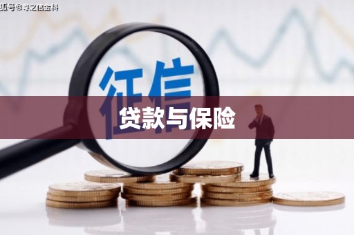 漳县贷款与保险
