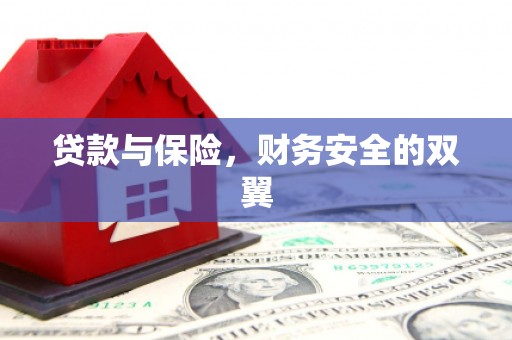 漳县贷款与保险，财务安全的双翼