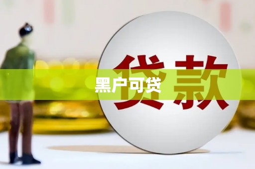 漳县黑户可贷