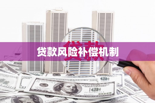 漳县贷款风险补偿机制