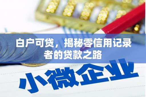 漳县白户可贷，揭秘零信用记录者的贷款之路