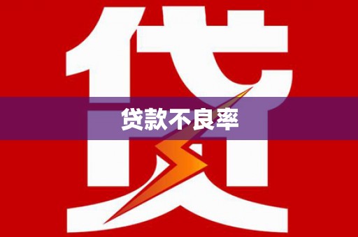 漳县贷款不良率