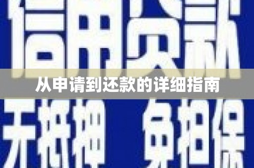 漳县从申请到还款的详细指南