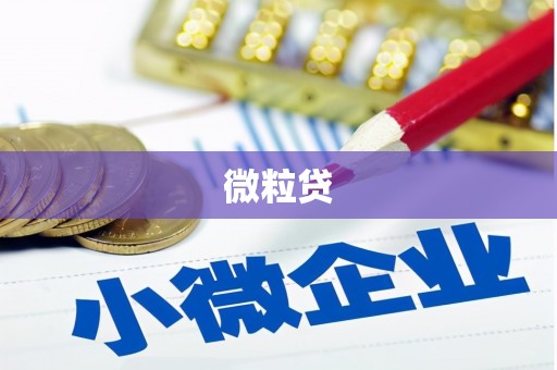 漳县微粒贷