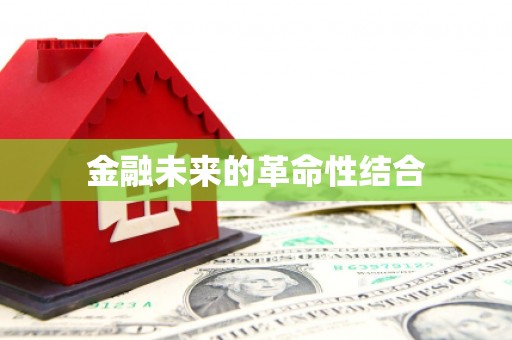 漳县金融未来的革命性结合