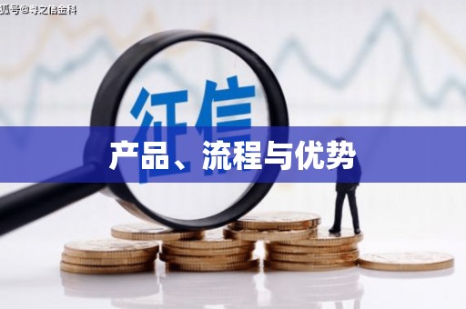 漳县产品、流程与优势