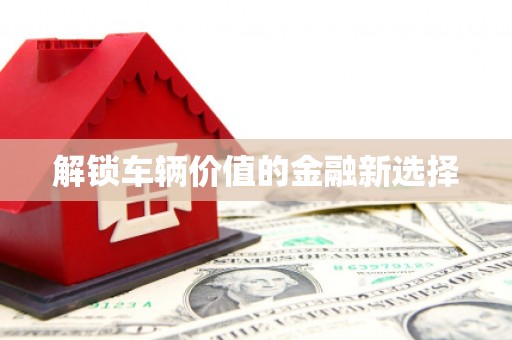 漳县解锁车辆价值的金融新选择