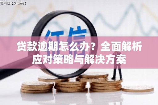 漳县贷款逾期怎么办？全面解析应对策略与解决方案