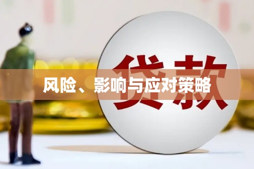 漳县风险、影响与应对策略