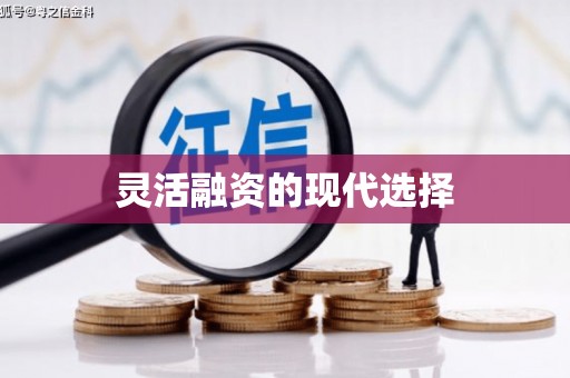 漳县灵活融资的现代选择