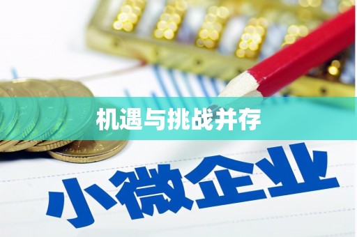 漳县机遇与挑战并存
