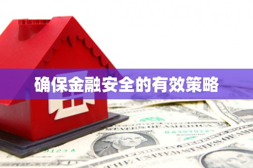 漳县确保金融安全的有效策略