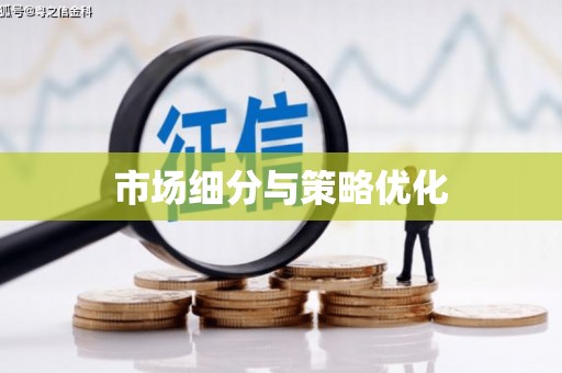 漳县市场细分与策略优化