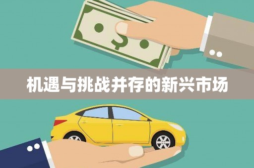 漳县机遇与挑战并存的新兴市场