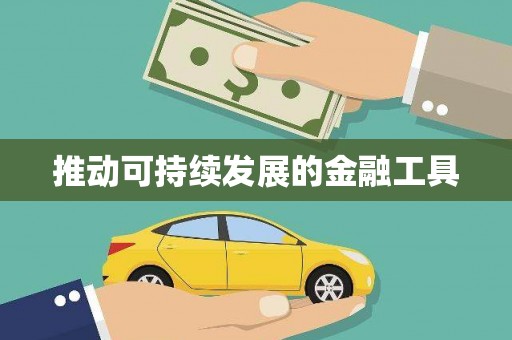 漳县推动可持续发展的金融工具