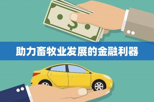 漳县助力畜牧业发展的金融利器