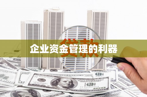 漳县企业资金管理的利器