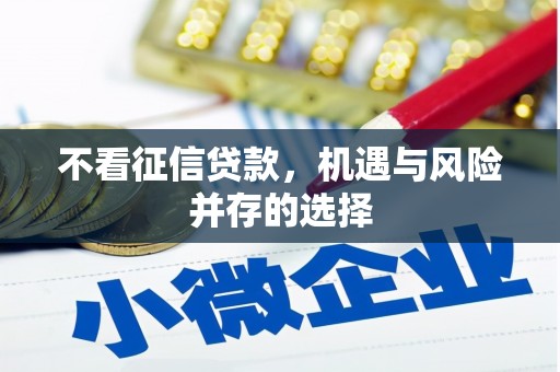 漳县不看征信贷款，机遇与风险并存的选择