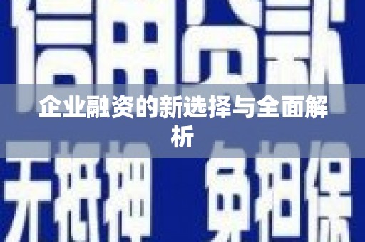 漳县企业融资的新选择与全面解析