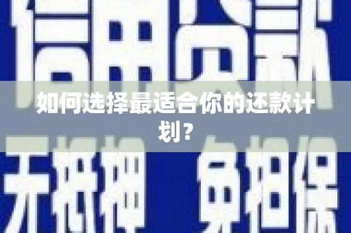 漳县如何选择最适合你的还款计划？